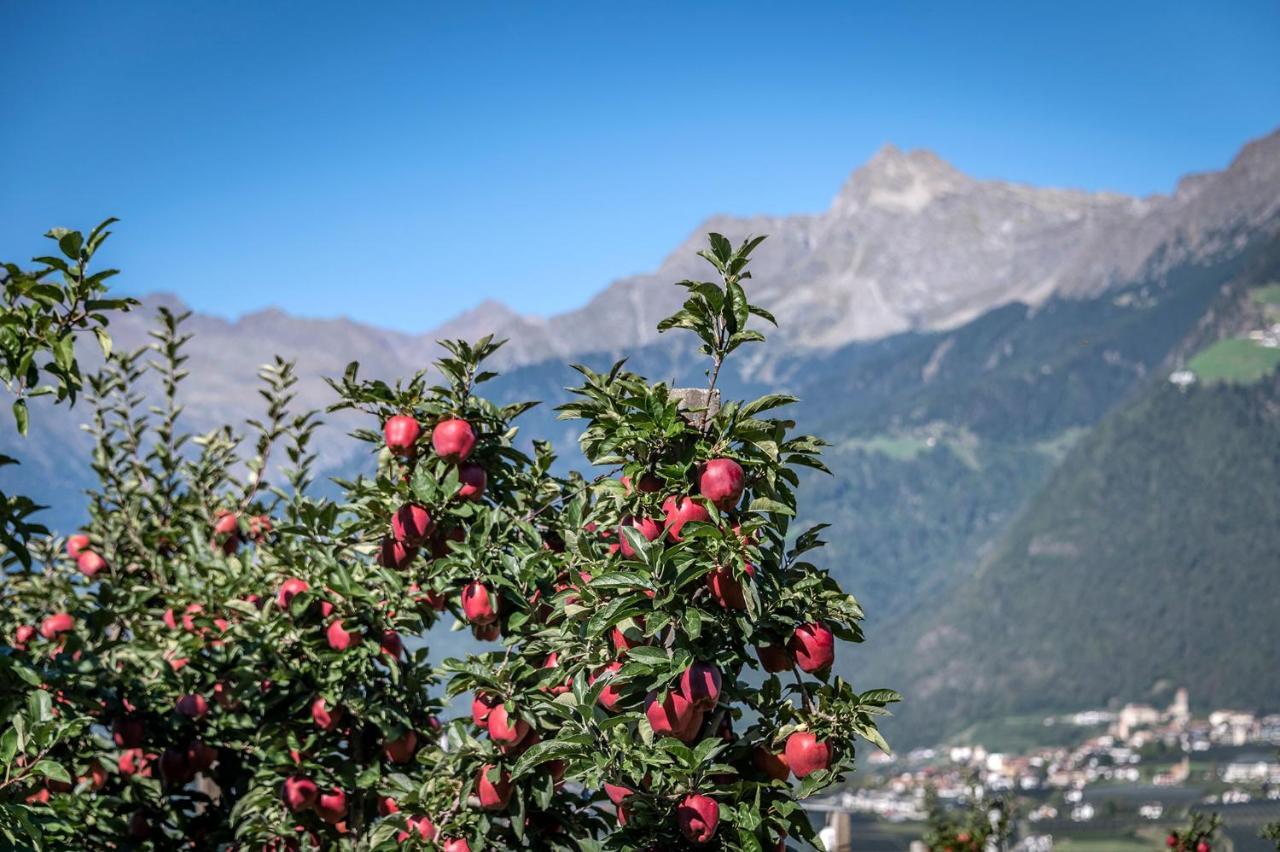 Plunerhof Schenna Exteriör bild