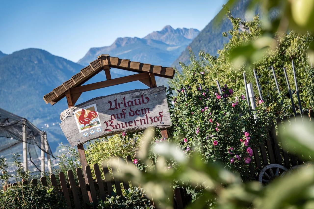Plunerhof Schenna Exteriör bild